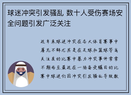 球迷冲突引发骚乱 数十人受伤赛场安全问题引发广泛关注