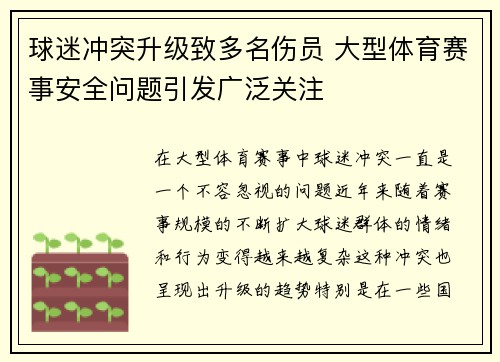球迷冲突升级致多名伤员 大型体育赛事安全问题引发广泛关注