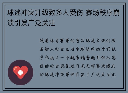 球迷冲突升级致多人受伤 赛场秩序崩溃引发广泛关注
